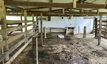 Imagem 6: Fazenda para Venda em Santa Cruz de Goiás, Zona Rural, 4 dormitórios, 4 suítes, 4 banheiro