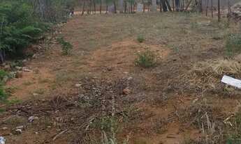 Imagem 2: Oportunidade de ano novo