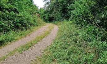 Imagem 7: Hectares para chácara