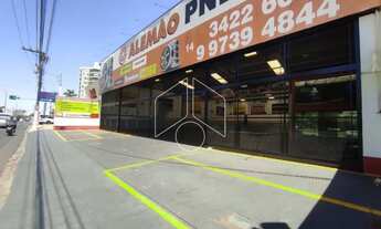 Imagem 2: Comercial GalpãoBarracão em Marília