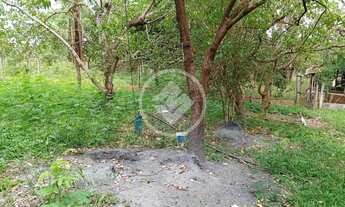 Imagem 2: Vende chácara na comunidade ninho das aguas em livramento, codigo: 95920