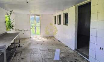 Imagem 4: Área à Venda 4,60 Hectares