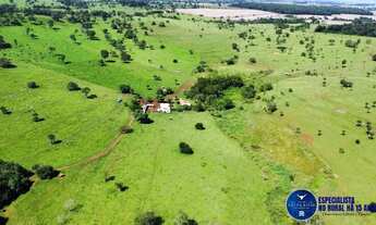 Imagem: Fazenda à Venda em Santa Bárbara GO