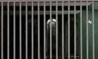 Imagem: CASA A VENDA EM FLORES