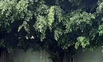 Imagem 12: Apartamento para Locação em Lauro de Freitas, Pitangueiras, 1 dormitório, 1 banheiro, 1 va