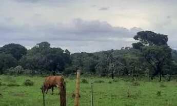 Imagem: AREA PARA LOCAÇÃO DE 33.000m² - AV. LA