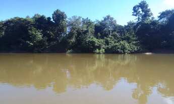 Imagem 7: Vendo lote em Barão de melgaço, comunidade Piuva 35.000R