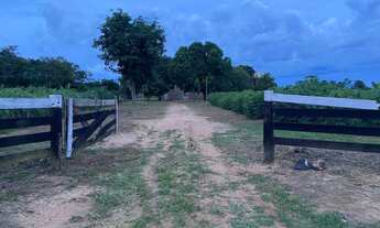 Imagem 6: Sítio Chácara com venda por R$420.000