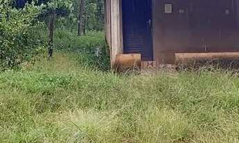 Imagem 5: Chácara em Bela vista