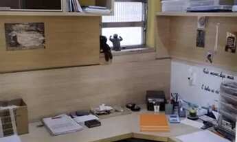 Imagem 2: 0 - Apartamento 3 quartos, sendo 1 suíte