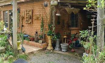 Imagem 3: Sítio em São Tomé, Gravataí