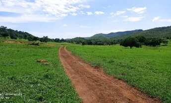 Imagem: Fazenda à Venda em Bom Jardim de Goiás
