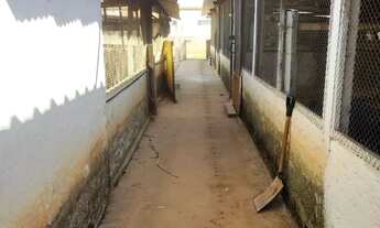 Imagem 2: Lote no Bairro Silvestre