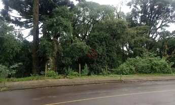 Imagem: Terreno à venda em Canela!