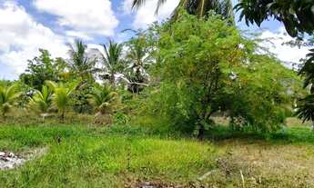Imagem 4: Terreno no pov saúde em Santana São Francisco