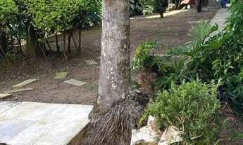 Imagem 7: Sobrado para Venda e Locação Vila Oliveira Mogi das Cruzes