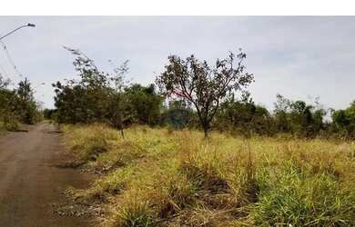 Imagem 4: DUAS CHACARAS JUNTAS NA AVENIDA PRINCIPAL DO SAO BASILIO