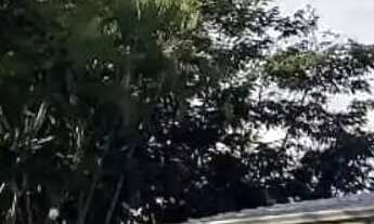 Imagem 3: Chácara à venda no bairro Chácaras São Pedro - Aparecida de Goiânia/GO