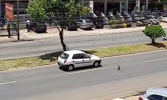 Imagem 5: Alugo quarto em apartamento compartilhado