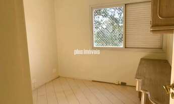 Imagem 7: Alto da Boa Vista - espetacular!