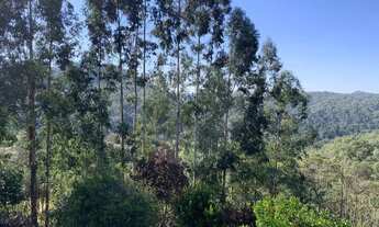 Imagem 2: Chácara 4.600 m com casa e pomar à venda na Estrada Itambé Campo Largo