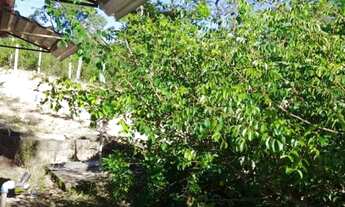 Imagem 5: Vende-se chácara