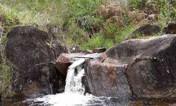 Imagem 7: Fazenda Fazenda / sítio com venda por R$80.000