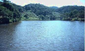 Imagem 3: VENDO 25 Alqueires Natividade da Serra!