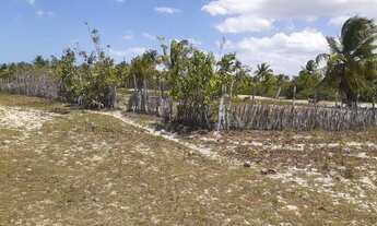 Imagem 3: Lindíssimo terreno na praia da Tatajuba