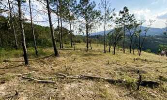 Imagem 2: Terrenos na planta