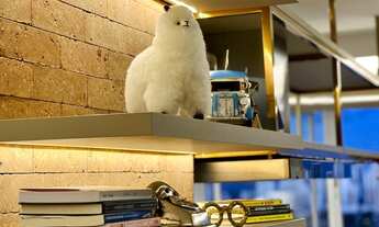 Imagem 6: Lindo Apartamento no Inspirare Residence 02 Suites Mobiliado - Setor Marista