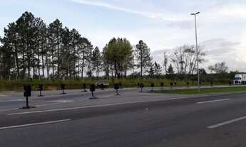 Imagem 6: Pelotas - Terreno Padrão - Distrito Ponte Cordeiro de Farias