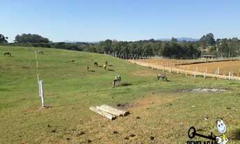 Imagem 4: Chácara com 1 dormitório à venda, 10000 m² por R$ 1.200.000,00 - Colônia Murici - São José