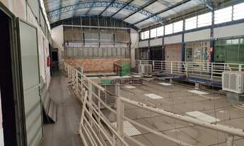 Imagem 7: Galpão para para aluguel no bairro Ceu Azul, Belo Horizonte