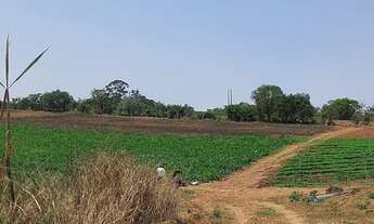 Imagem 4: Terrenos com 1000 metros quadrados ideal pra vc