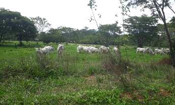 Imagem 5: Compre sua fazendinha na Zona Rural de Araçai próximo a Sete Lagos ! Agende sua visita !!