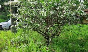 Imagem 3: OPORTUNIDADE Terreno Chácara Rua 18 Lago Oeste( última Chácara, virada pro vale, com água