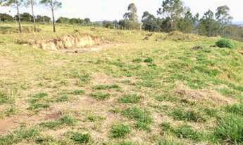 Imagem 5: Priorizamos a sua escolha