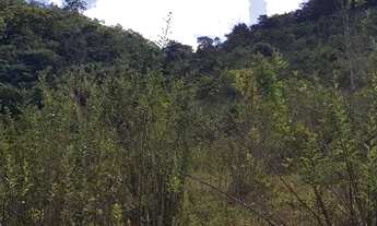 Imagem 3: Sítio 2,5 alqueires