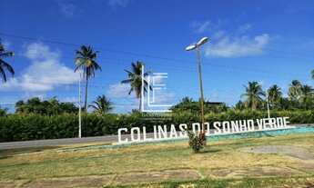 Imagem 5: Excelente lote com 362m² com vista para o mar e fundo voltado para área verde