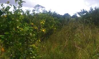 Imagem 7: VENDO SÍTIO (estância-se) 300 MIL