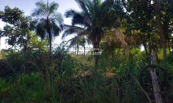 Imagem: Terreno à venda no município de Santo