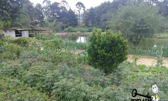 Imagem 5: Área à venda, 5100 m² por R$ 3.045.000,00 - Costeira - São José dos Pinhais/PR