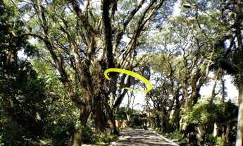 Imagem 4: Terreno à venda, 509 m² por R$ 749.000,00 - Bosque do Vianna - Cotia/SP