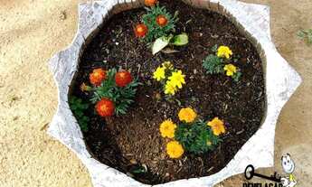 Imagem 7: Chácara à venda, 4000 m² por R$ 365.000 - Zona Rural - Quitandinha/PR