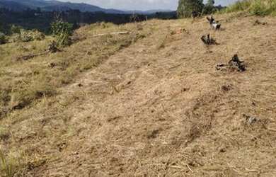 Imagem 4: Priorizamos a sua escolha