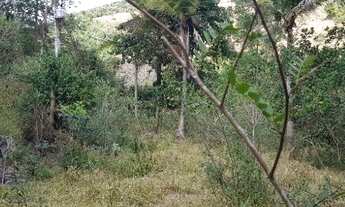 Imagem 4: Sítio 2,5 alqueires