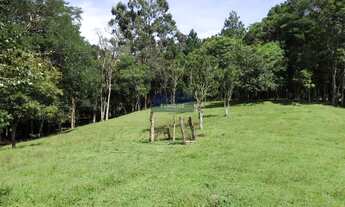 Imagem 7: Curitiba - Casa Padrão - Santa Felicidade