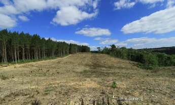 Imagem 3: Chácara para Venda em Rio Preto Mafra-SC