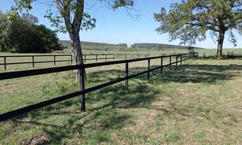 Imagem: Sítio de alto padrão em Morungava